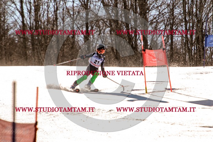 MAT_5261.jpg