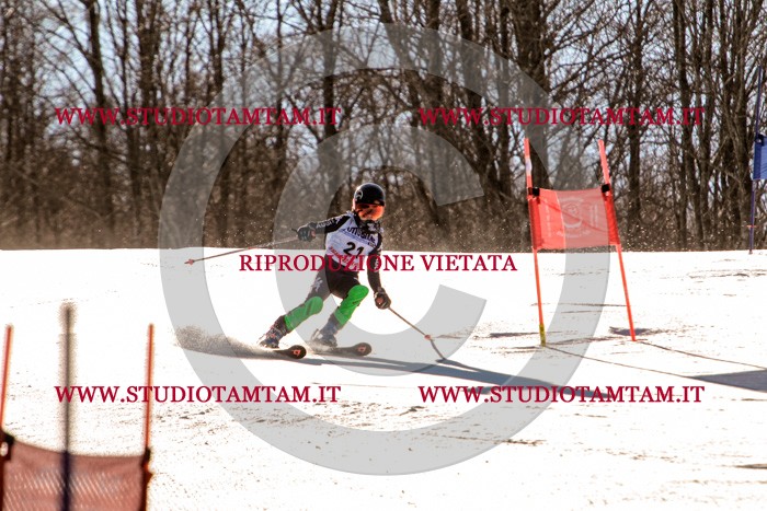 MAT_5262.jpg