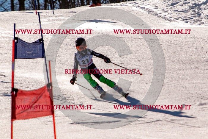 MAT_5264.jpg