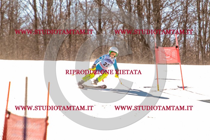 MAT_5272.jpg