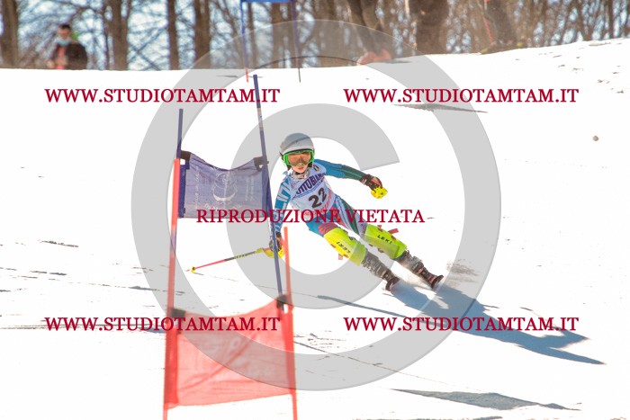 MAT_5274.jpg