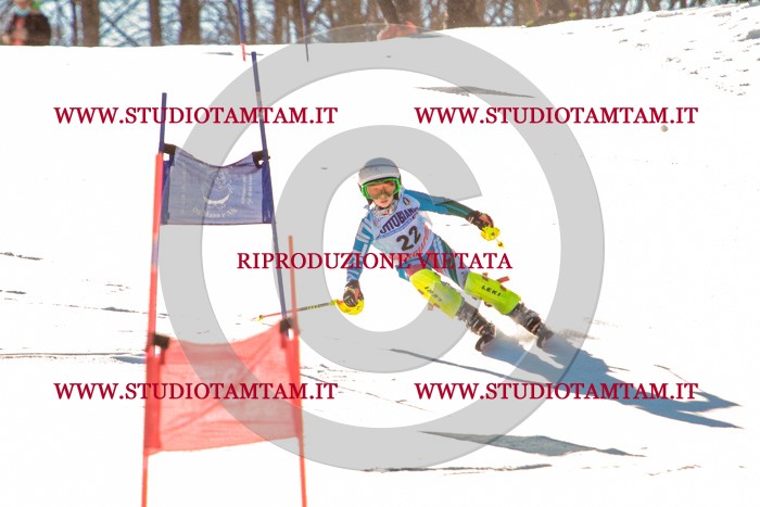 MAT_5275.jpg