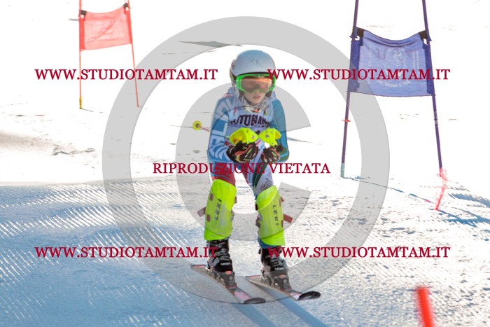 MAT_5279.jpg