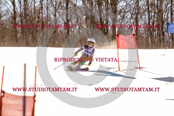 MAT_5281.jpg