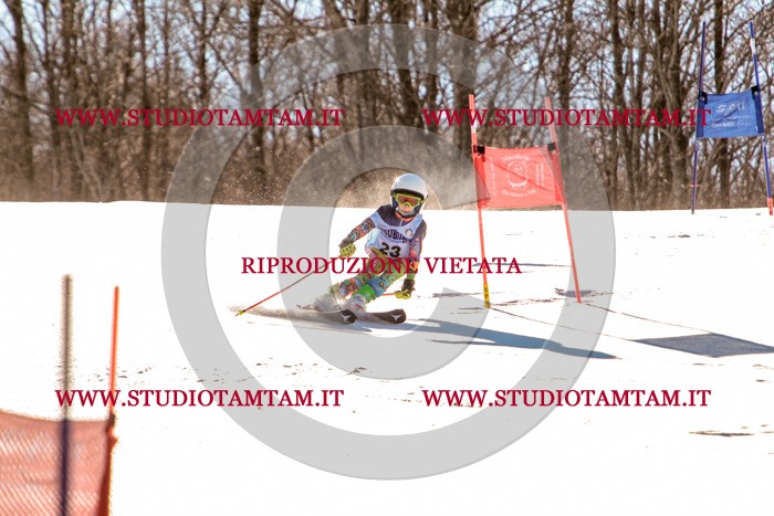 MAT_5282.jpg