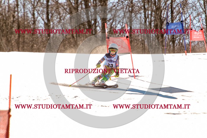 MAT_5283.jpg