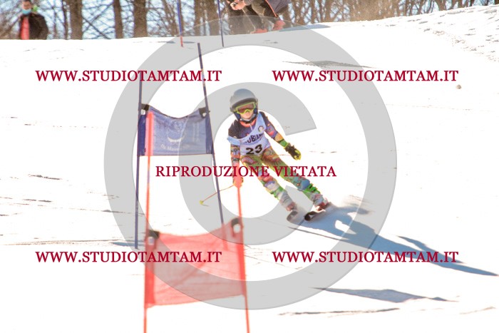 MAT_5284.jpg