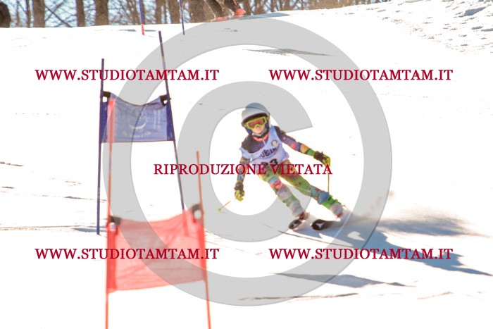 MAT_5285.jpg