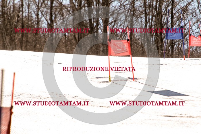 MAT_5292.jpg