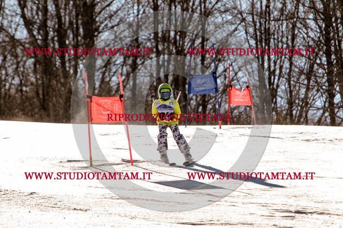 MAT_5295.jpg