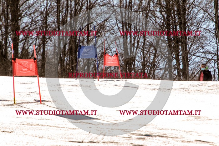MAT_5300.jpg