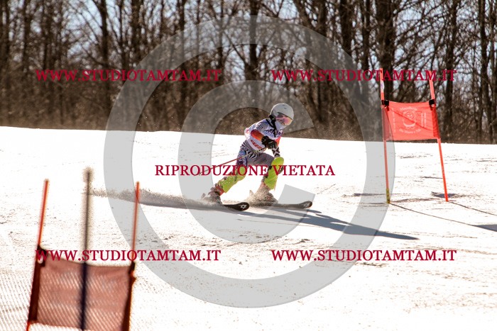 MAT_5303.jpg