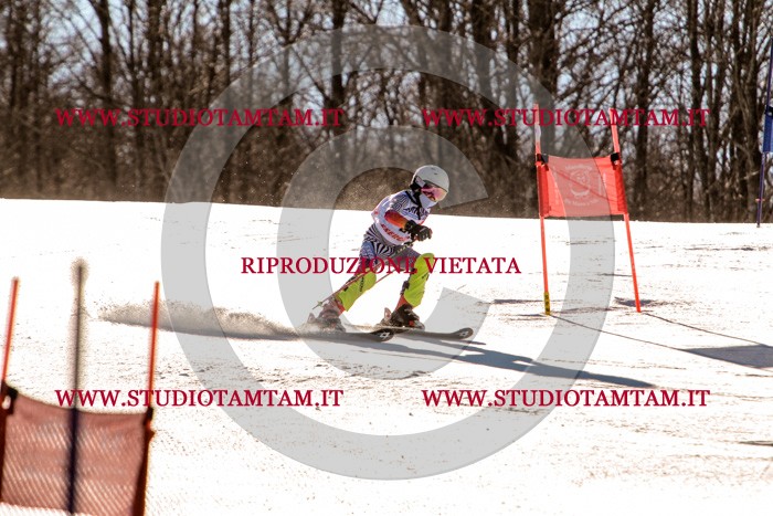 MAT_5304.jpg