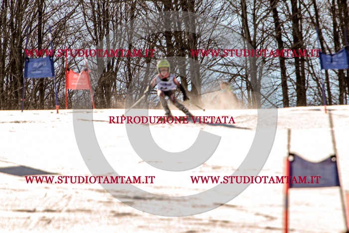 MAT_5312.jpg