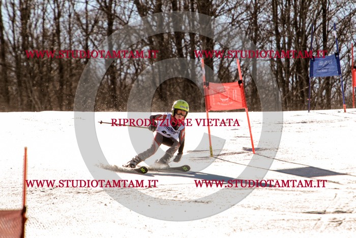 MAT_5315.jpg