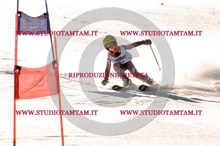 MAT_5318.jpg