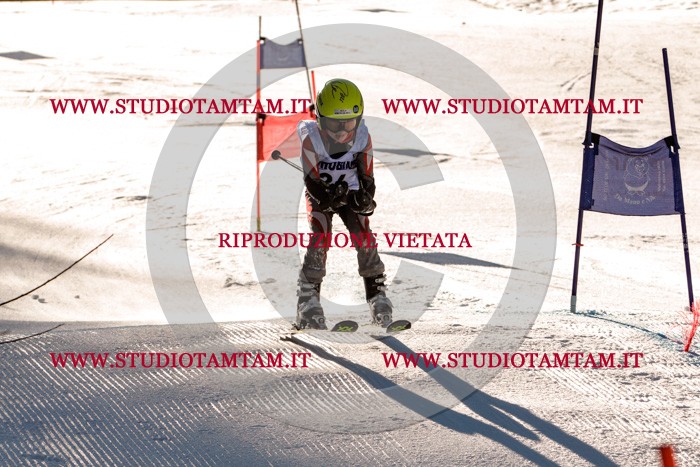 MAT_5319.jpg