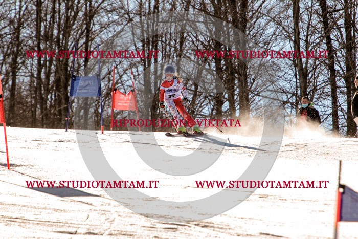 MAT_5323.jpg
