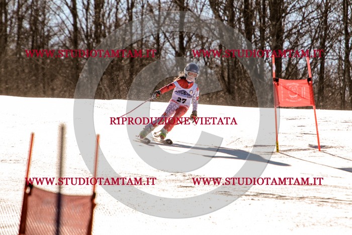 MAT_5324.jpg