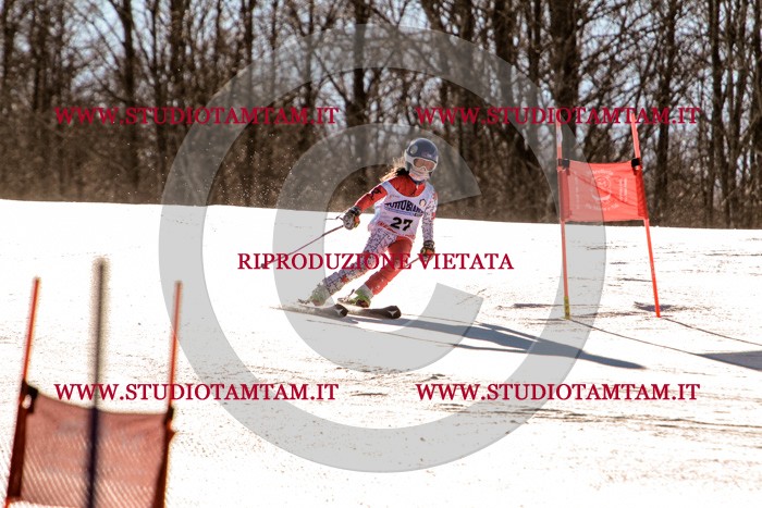 MAT_5325.jpg