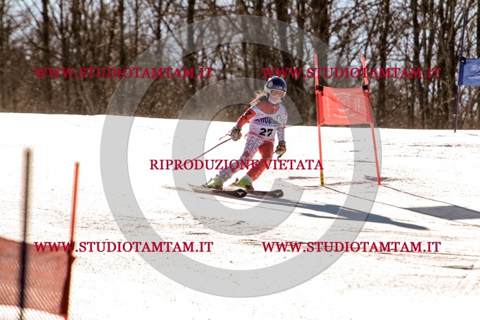 MAT_5326.jpg