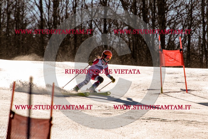 MAT_5335.jpg