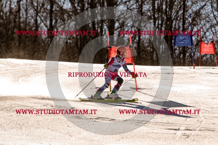 MAT_5337.jpg