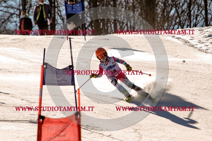 MAT_5338.jpg