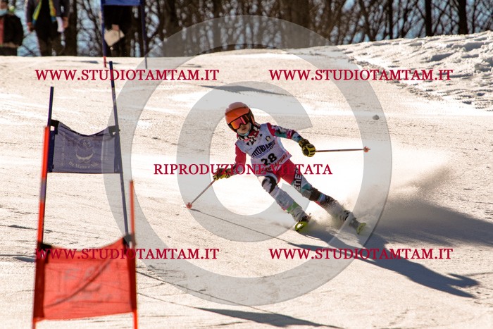 MAT_5339.jpg