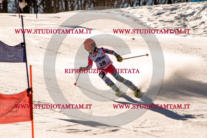 MAT_5340.jpg