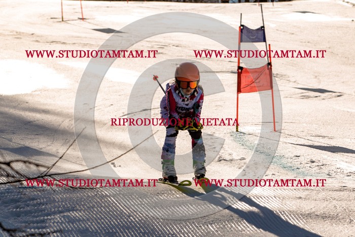 MAT_5341.jpg