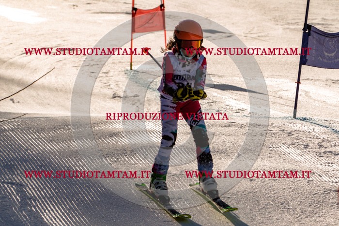 MAT_5343.jpg