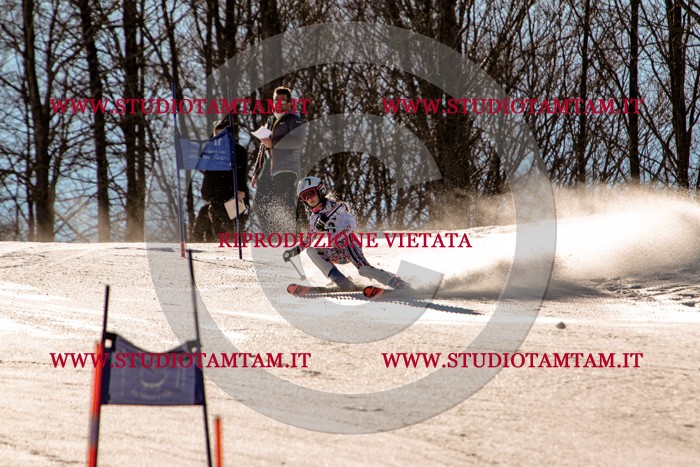 MAT_5345.jpg