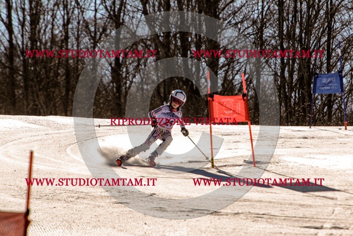 MAT_5346.jpg