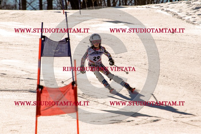 MAT_5348.jpg