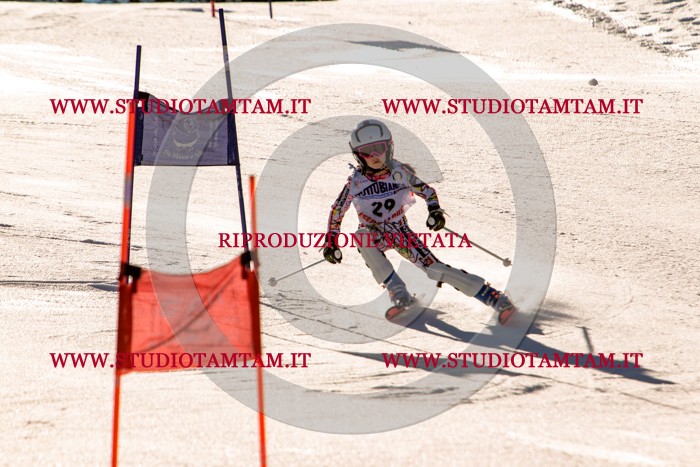 MAT_5349.jpg