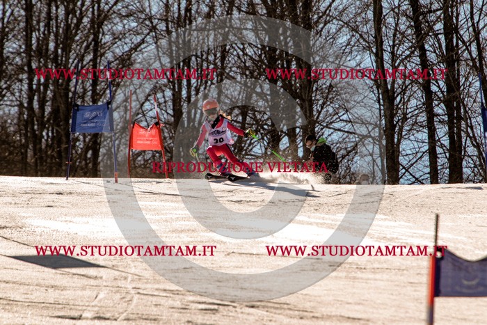 MAT_5353.jpg
