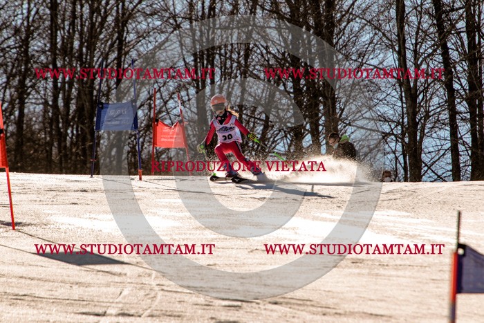 MAT_5354.jpg