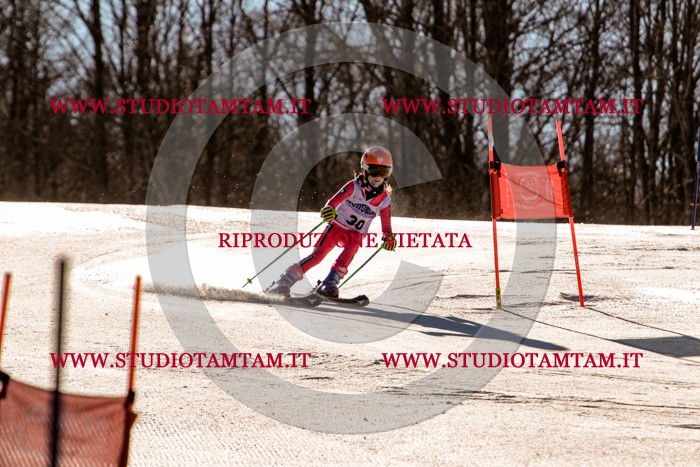 MAT_5355.jpg