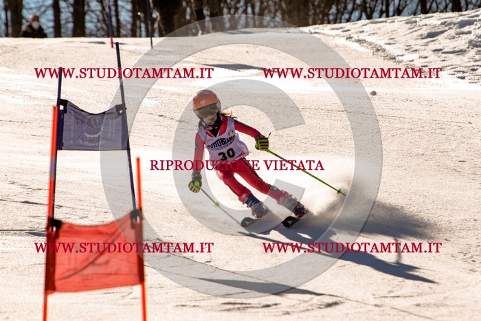MAT_5357.jpg