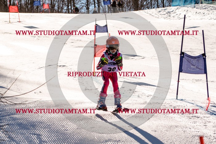 MAT_5359.jpg