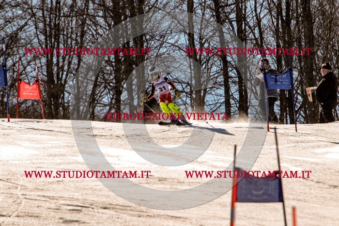 MAT_5362.jpg