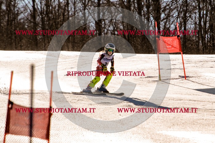 MAT_5364.jpg