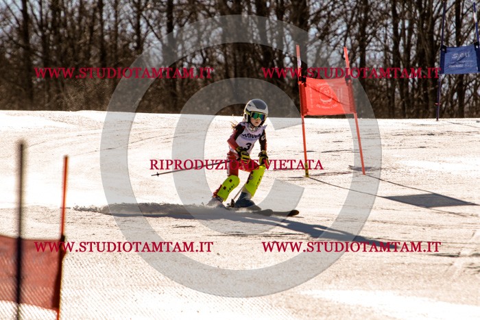MAT_5365.jpg