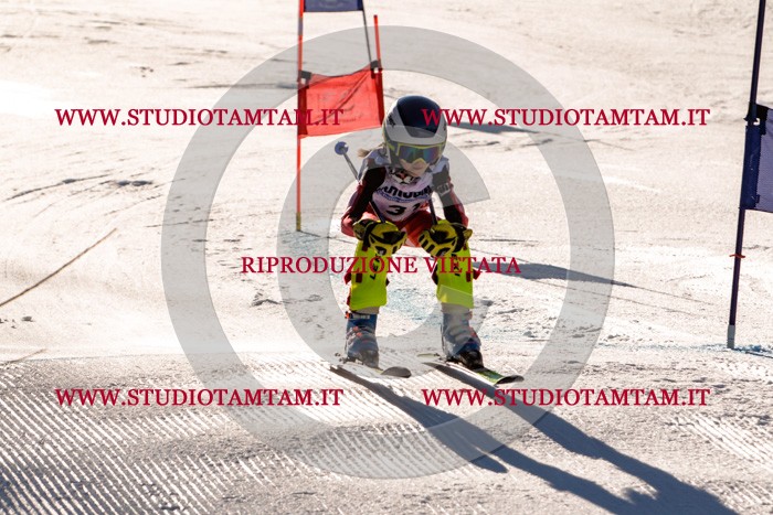 MAT_5368.jpg