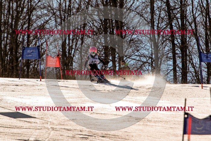 MAT_5371.jpg