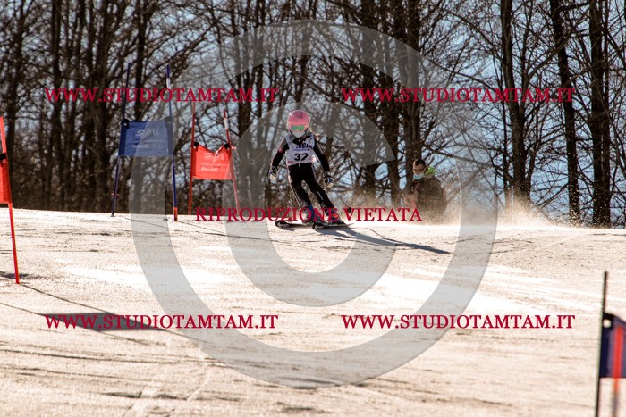 MAT_5372.jpg