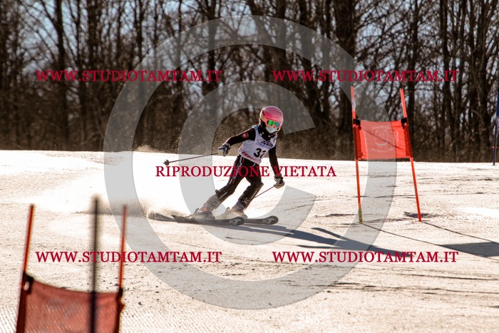 MAT_5373.jpg