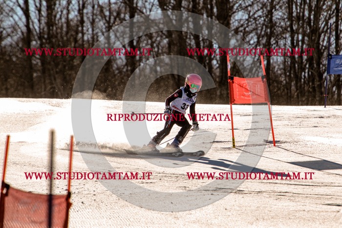 MAT_5374.jpg