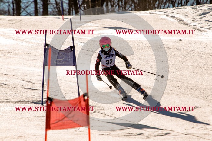 MAT_5375.jpg